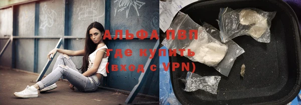spice Вязники