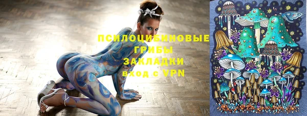 spice Вязники