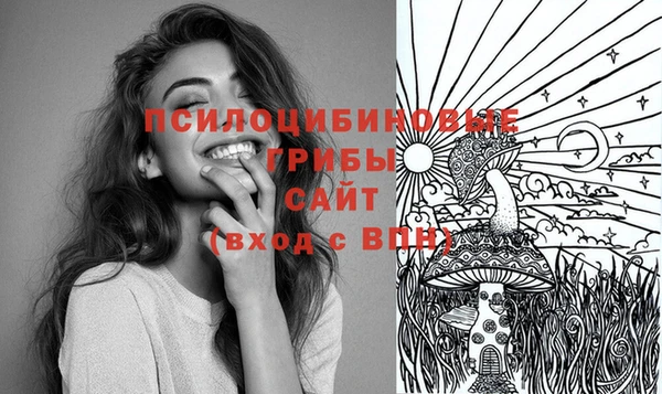 spice Вязники