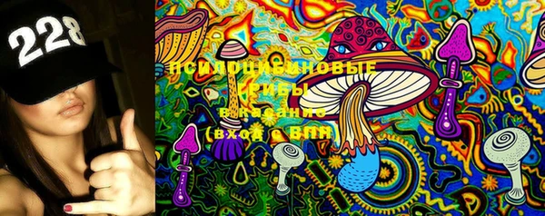 spice Вязники